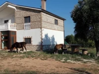 Gio Horses B&B 