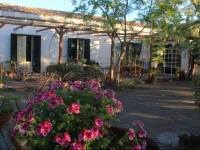 B&B La casa di Pippinitto 