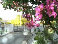 Mamma Puglia Suite & Breakfast 
