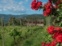 Resort La Ghiaia 