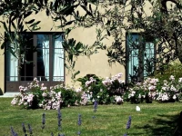 Settignano Tuscany Homes 