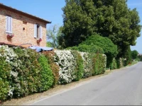 Appartamenti Fattoria la Casina 