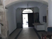 Syrakosia 