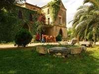 Le Colline del Gelso 
