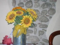 Agriturismo Colombarola 