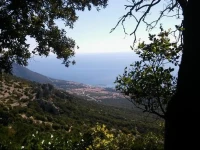 B&B dal pozzo 