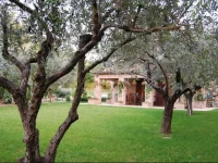 Bed and Breakfast La casa delle rondini 