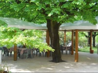 Albergo Ristorante Aquila 1*