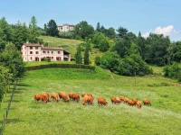 Agriturismo Borgoluce 