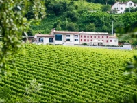 Azienda Agricola Ca Piadera 