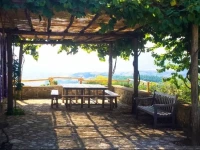 Podere Felce 