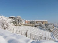 Agriturismo Finestre di Langa 