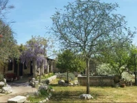 B&B Borgo del Gallo 