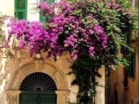 Casetta Tropea 