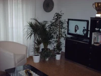 Guest House Cuore del Friuli 