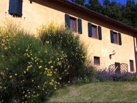 B&B Cal Torello