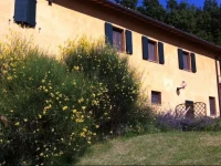 B&B Cal Torello 