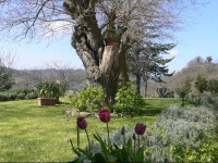 B&B La Natura