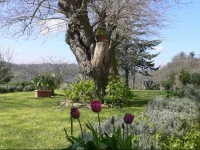 B&B La Natura 