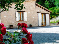 Calmancino delle selve