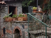Ca degli Ulivi 