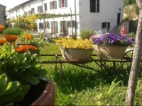 Agriturismo alle Torricelle 