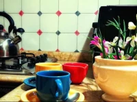 Residenza Due Ponti 
