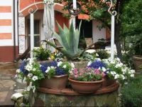 Bed and Breakfast I Girasoli 