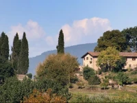 Casa Della Vigna 