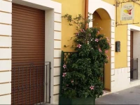 Terra del Sole Vittoria 