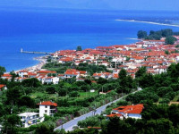 Ammon Garden