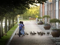 Ribe Byferie Resort 