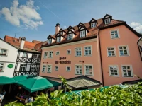 Hotel Alt-Ringlein 