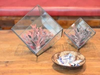 Xihu Congcongnanian Boutique Inn 
