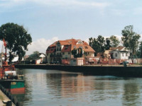 Golabek