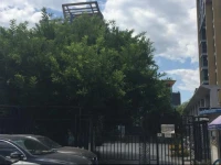 Free Keeper Youth Hostel 