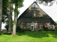 Bielenberg 37 
