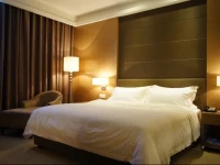 Shenzhen Futian Dynasty Hotel 