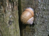 Natur-Aktiv-Hof Thiem 3*