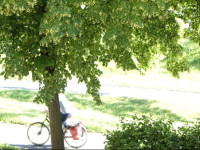 Hornschuchpromenade