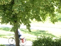 Hornschuchpromenade 