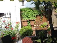 Gasthof und Pension Frankenthal 