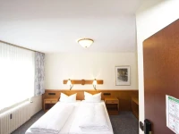 Hotel Alt-Mulheim 3*