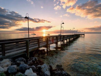 Islander Resort, a Guy Harvey Outpost