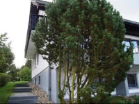 Winterberg Appartement 21018