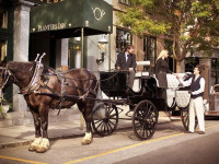 Planters Inn Charleston
