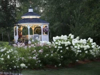 A G Thomson House Duluth Bed and Breakfast 