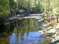 Yosemite Lakes Wheelchair Accessible Cabin 46 