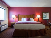 Econo Lodge Inn & Suites Joplin 