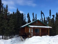Salmon Catcher Lodge 3*